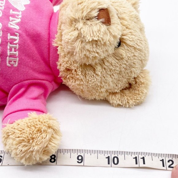 GUND Brown Teddy Bear Plush I'm the Big Sister Pink Shirt Stuffed Animal Toy 12” - Picture 5 of 9